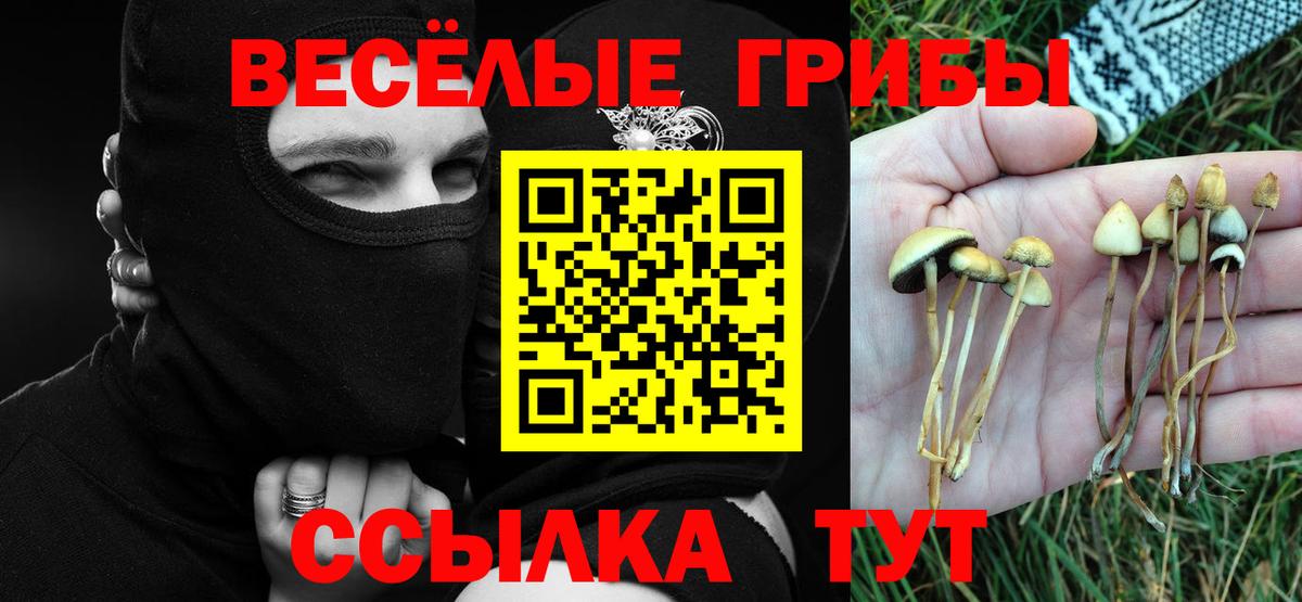 Псилоцибиновые грибы ЛСД  Вход с VPN  закладки  Белая Калитва 